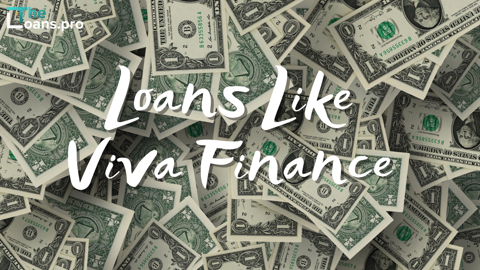 Loans Like Viva Finance (Our Top Picks)